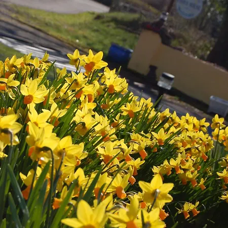 Findus House, 3* 麦克鲁姆