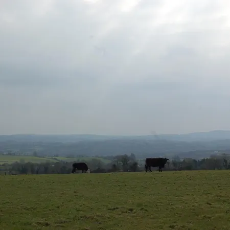 住宿加早餐酒店 Findus House,