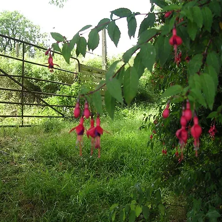 Findus House, 住宿加早餐酒店