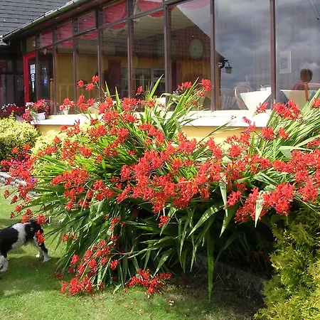 住宿加早餐酒店 Findus House,