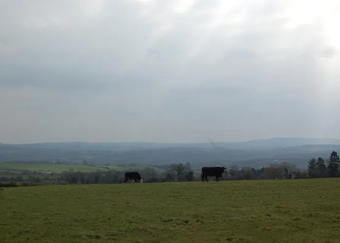 Bed & Breakfast Findus House,