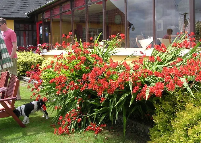 Bed & Breakfast Findus House,